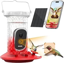 Smart Hummingbird Feeder Camera with Identification